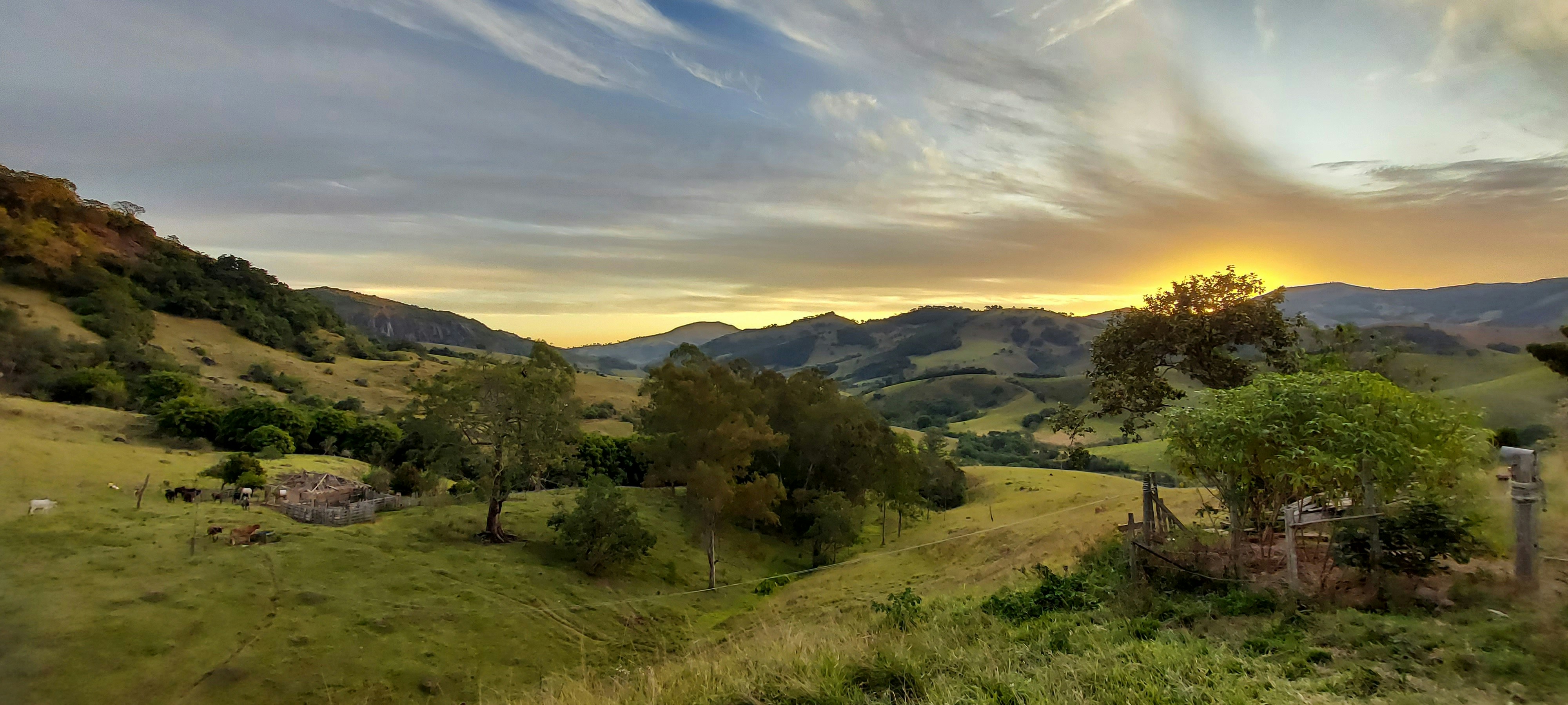 Paisagem rural